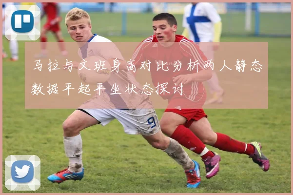 马拉与文班身高对比分析两人静态数据平起平坐状态探讨