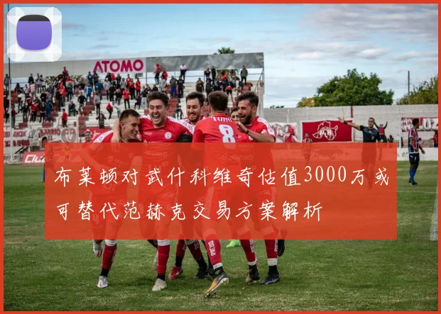 布莱顿对武什科维奇估值3000万或可替代范赫克交易方案解析