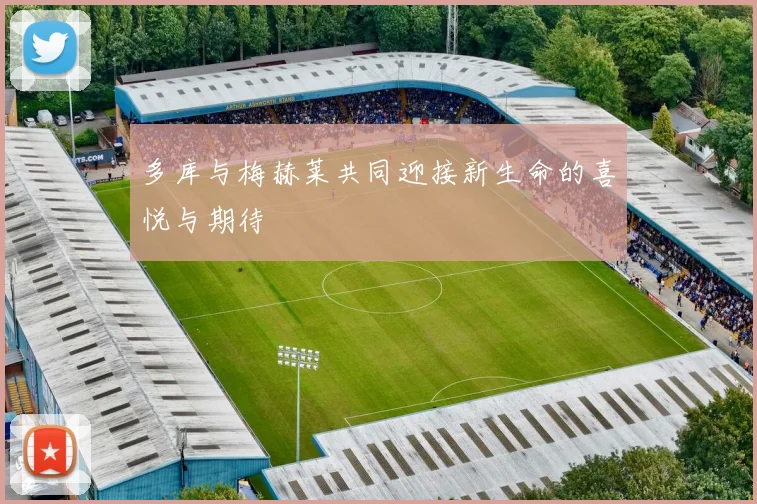 多库与梅赫莱共同迎接新生命的喜悦与期待